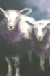 Schapen.jpg